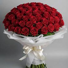 Букет 101 Красная роза Блэк Мэджик в Синегорье