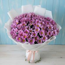 Букет цветов из:  Хризантемы в Синегорье