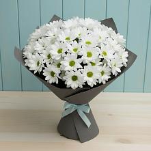 Букет цветов из:  Хризантемы в Синегорье