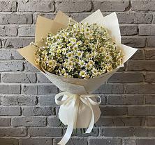 Букет цветов из:  Ромашки #REPLACE_PRED# Синегорье