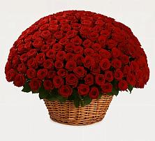 Премиум букет из: Розы в Синегорье